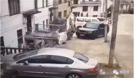 绍兴高速爆料事件最新