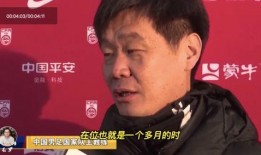 石家庄大帅最新爆料,最新爆料背后的惊人真相